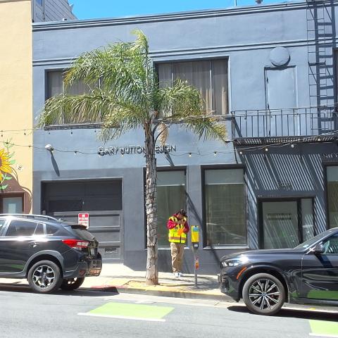2015 Polk Street tree