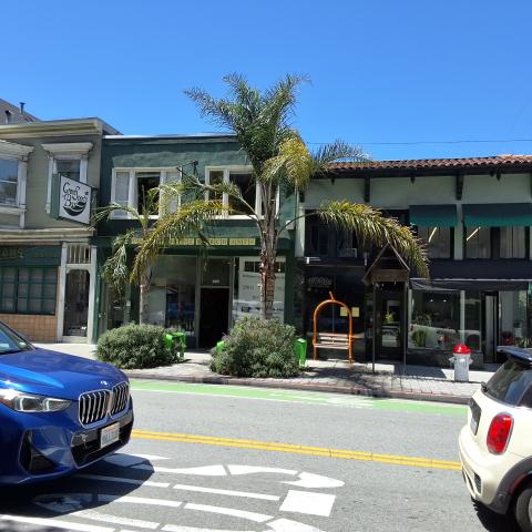 2253 Polk Street tree