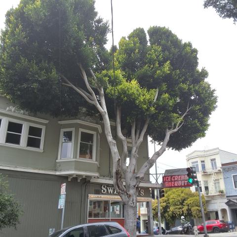 1999 Hyde St