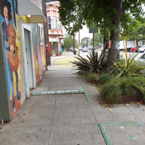 2700 Bryant Street tree