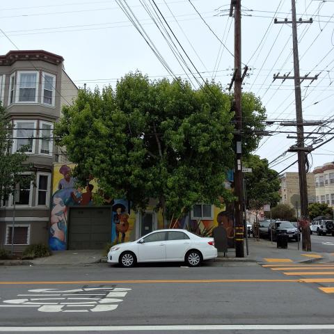 2700 Bryant Street tree