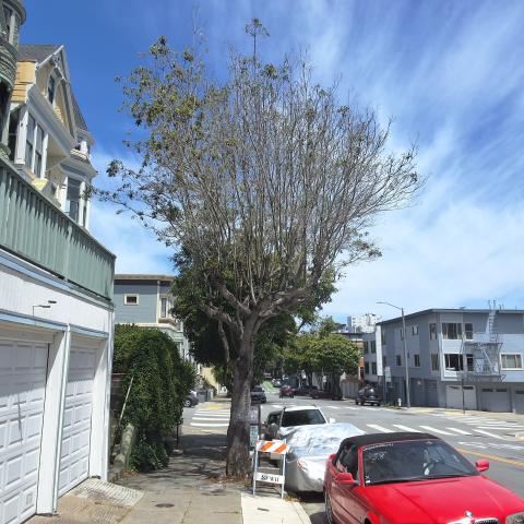93 Scott St 