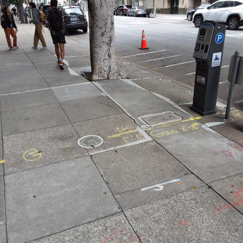 1650 Mission Street tree