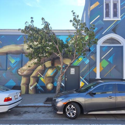 3445 17th Street tree