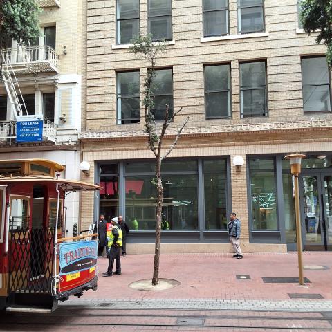 65 Powell St