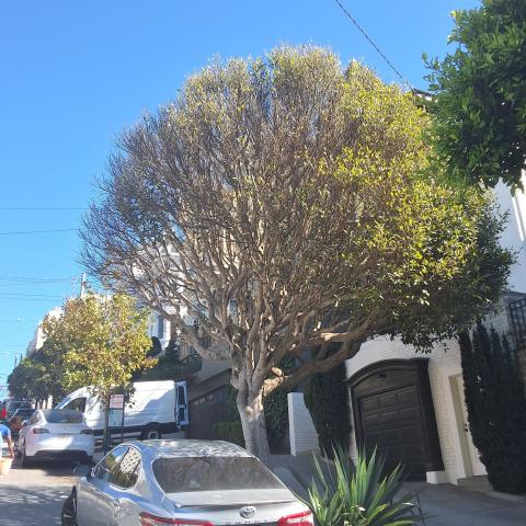 2355 Broadway