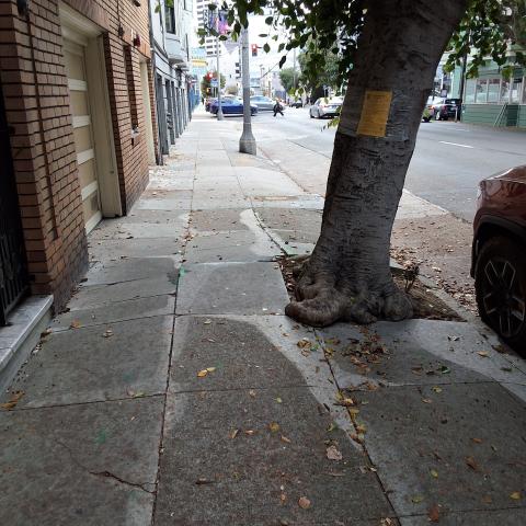 230 Oak St