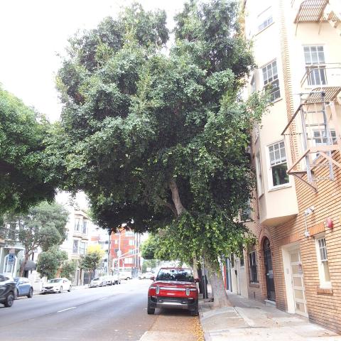 230 Oak St