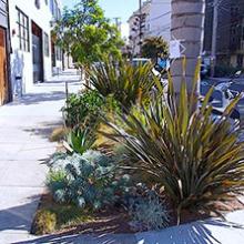 sidewalk landscaping photo